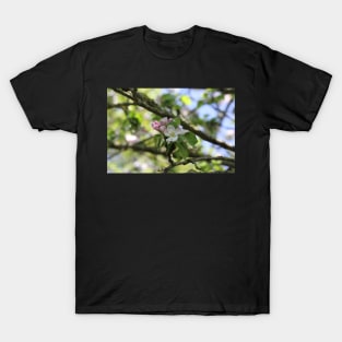 Apple Blossom T-Shirt